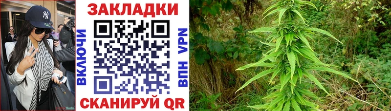 Виды наркоты Яровое APVP  Псилоцибиновые грибы  ОМГ ОМГ tor  Codein  Мефедрон  Марихуана 