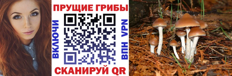 Галлюциногенные грибы Magic Shrooms  продажа наркотиков  Яровое 